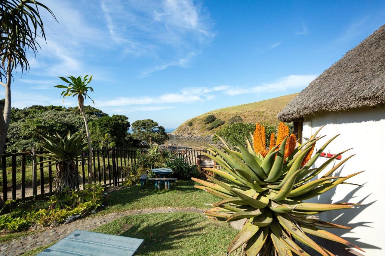 Coffee Shack Adventure Backpackers & Self-Catering Hostel Coffee Bay Exterior photo